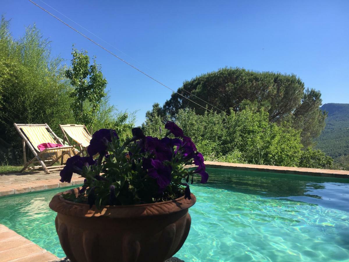 Tenda Glamping Vista Sulla Valle - Podere Di Maggio Santa Fiora Exterior foto